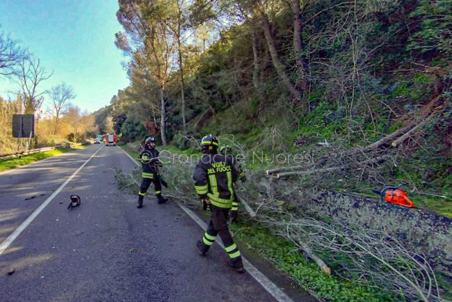 Danni del vento (foto VVF)