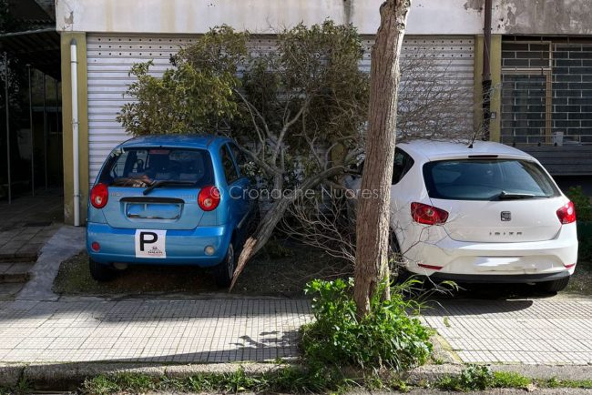Danni del vento in via Convento