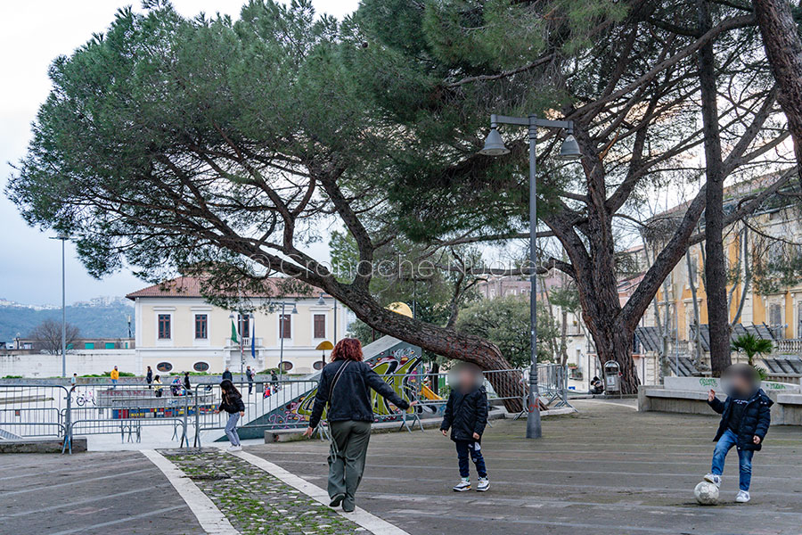 Il pino in bilico ai Giardinetti per i genitori è una minaccia ma per il Comune è sicuro