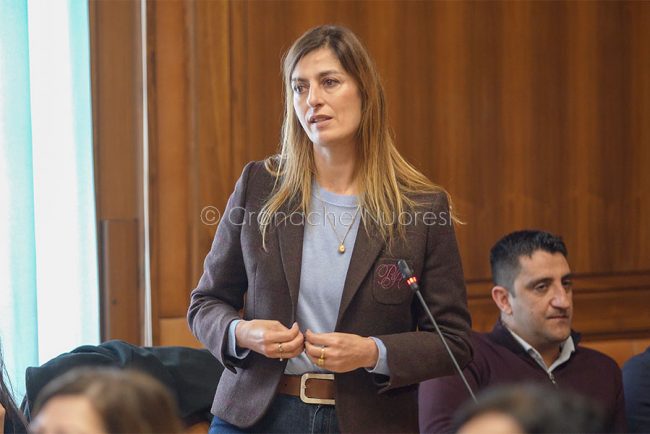 L'intervento di Daniela Falconi - ANCI (foto S.Novellu)