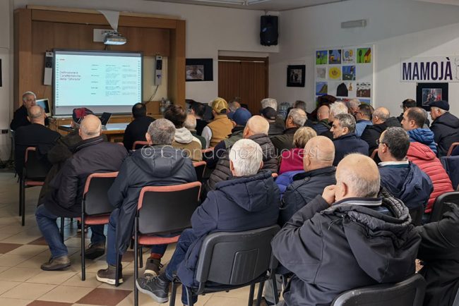 Mamoiada, convegno su vite a alberello