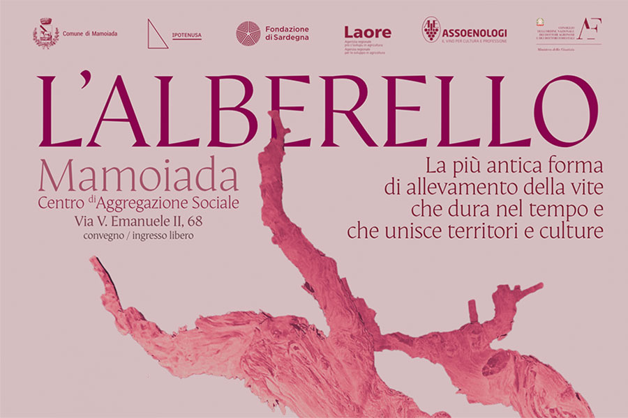 Mamoiada riscopre le sue radici: un convegno celebra la vite ad alberello