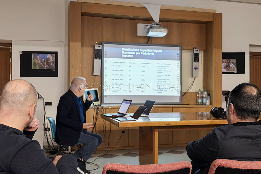 L’identità di Mamoiada tra tradizione e futuro: un convegno sulla vite ad alberello