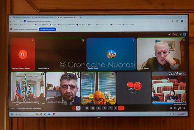 Partecipanti collegati da remoto (foto S.Novellu)