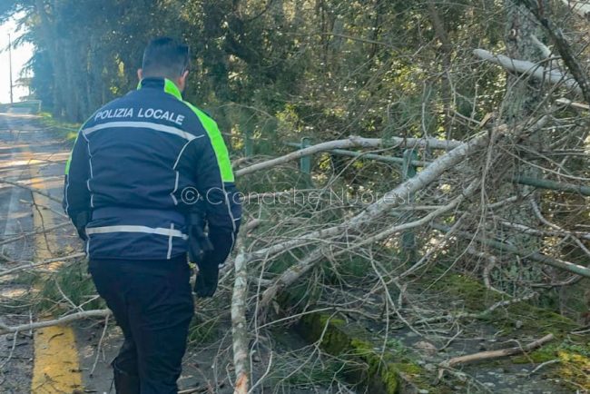 Rami spezzati al Monte Ortobene