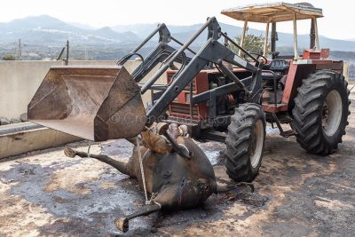 Scano Montiferro, i danni dell'incendio (foto S.Novellu)