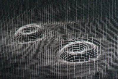 Simulazione di onde gravitazionali (foto S.Novellu)