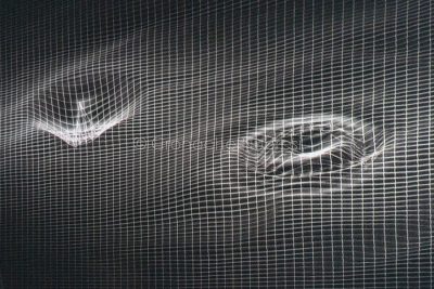 Simulazione di onde gravitazionali (foto S.Novellu)