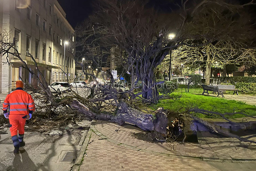 Mai così pulita: Nuoro si ripulisce dai danni del vento per Mattarella