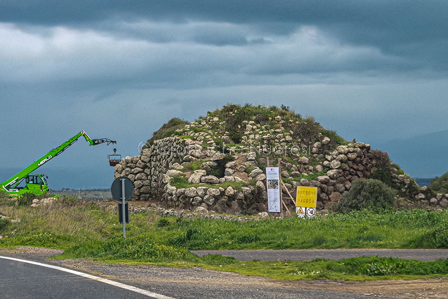 Borore, le radici del Cannonau tornano a splendere: il paese entra nelle Città del Vino