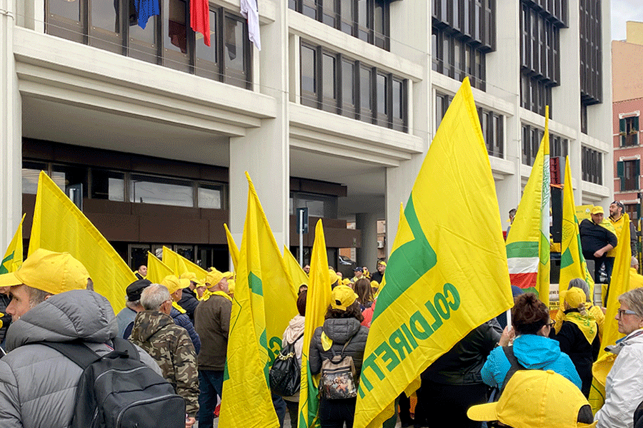 Coldiretti. marea gialla a Cagliari: 3mila agricoltori assediano il consiglio regionale