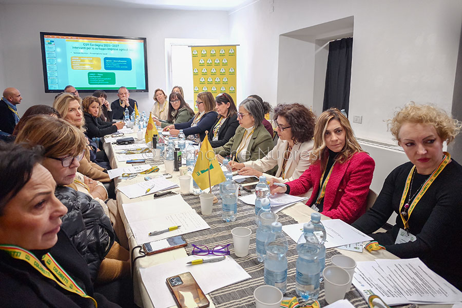 L’altra faccia della terra: a Nuoro il “tocco rosa” che innova l’agricoltura sarda – VIDEO