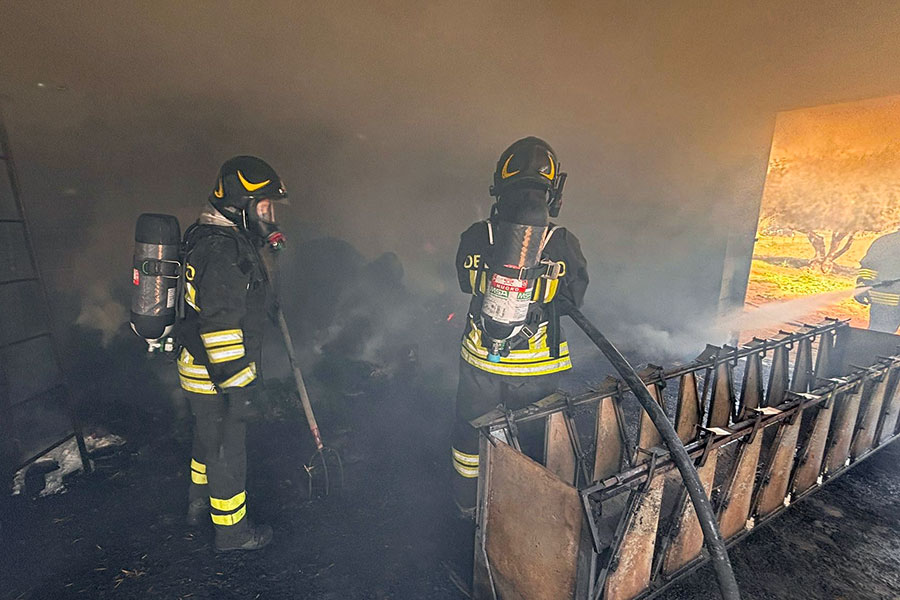 Orgosolo. A fuoco una stalla a Pandelavai: morte venticinque pecore