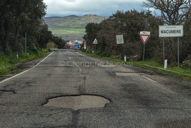 SP 43 - Macomer - Santu Lussurgiu (foto S.Novellu)