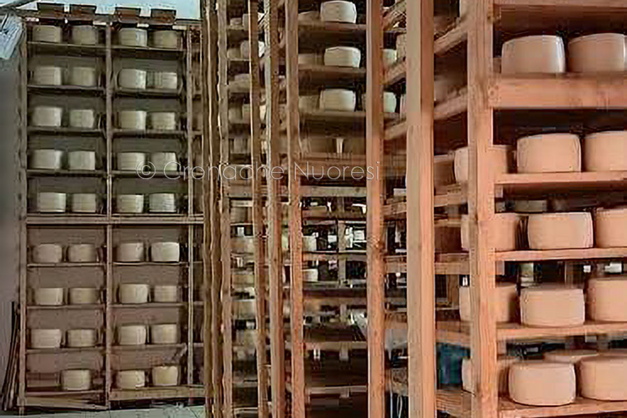 Cooperativa Pastori di Sarule: il silenzio della politica sta uccidendo un territorio