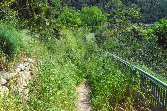 Uno scorcio del belvedere di viale Ciusa