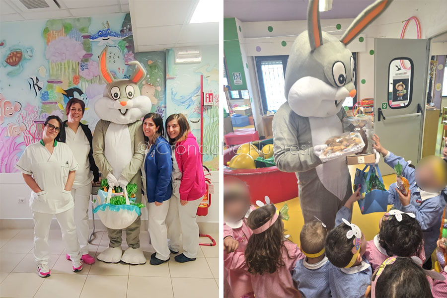 Un coniglietto speciale in corsia: la sorpresa di pasqua al San Francesco