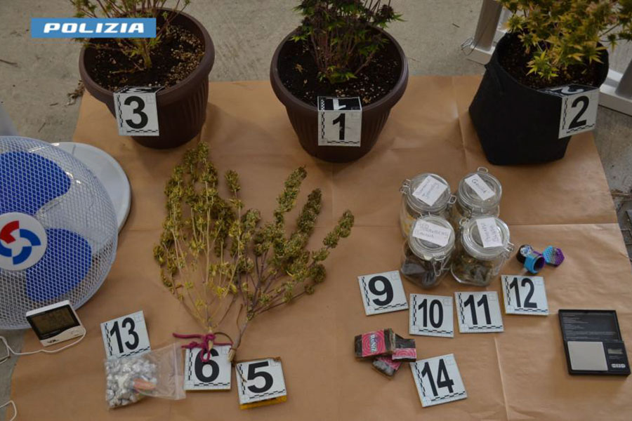 Scoperti in un’abitazione mezzo chilo di droga e una serra artigianale: arrestato 21enne