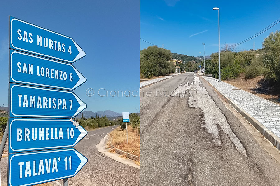 Provinciale 24bis nel degrado. L’appello di Fresu alla Provincia