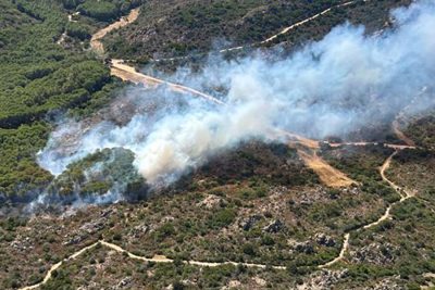 L'incendio in pineta di oggi