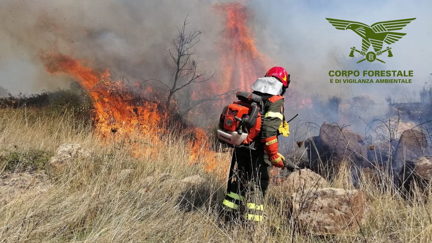 Ennesimo incendio nelle campagne di Sagama: sul posto elicotteri e corpo forestale