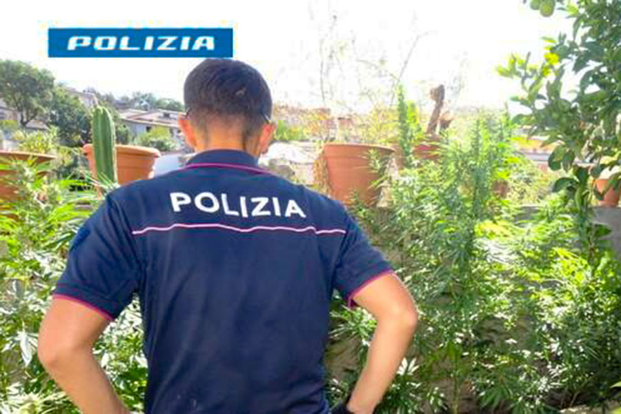 Quasi cinque chili di droga e serra casalinga: scattano gli arresti: arrestato un 45enne