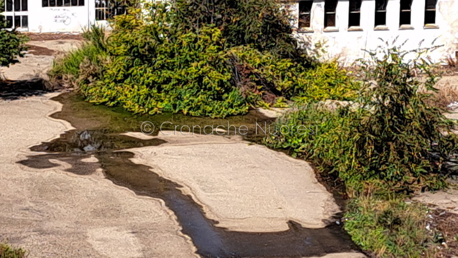 La segnalazione: centinaia di metri cubi d’acqua sprecati in viale Sardegna