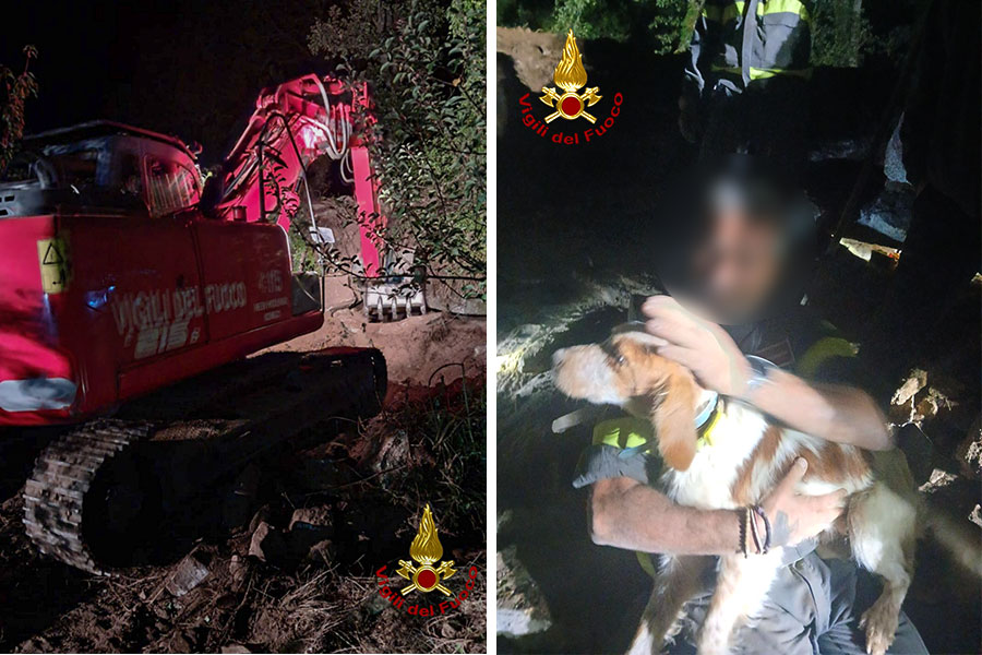 Gavoi. Dopo una notte di lavoro i vigili del fuoco salvano il cagnetto bloccato tra le rocce
