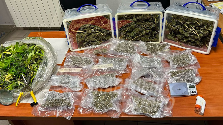 L’odore tradisce la coltivazione in casa: arrestato muratore 56enne, sequestrati 4 kg di marijuana