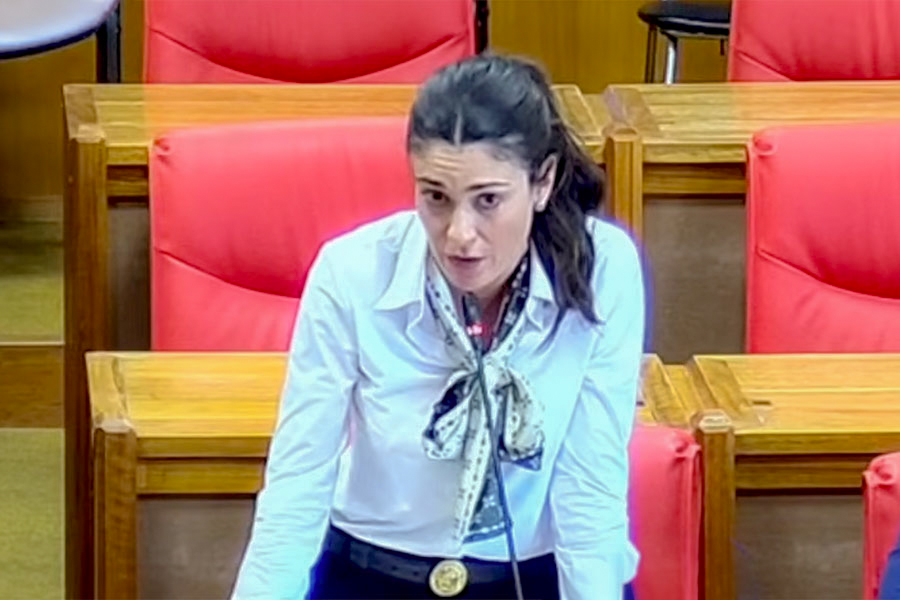Caso fontanelle. Maura Chessa: «Autonoma e indipendente, nessun mandante»