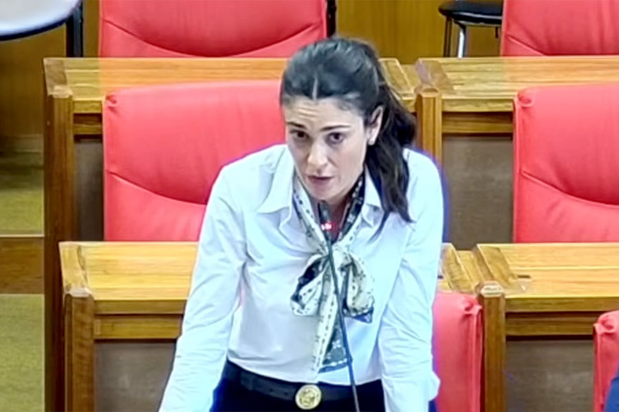 L'intervento di Maura Chessa