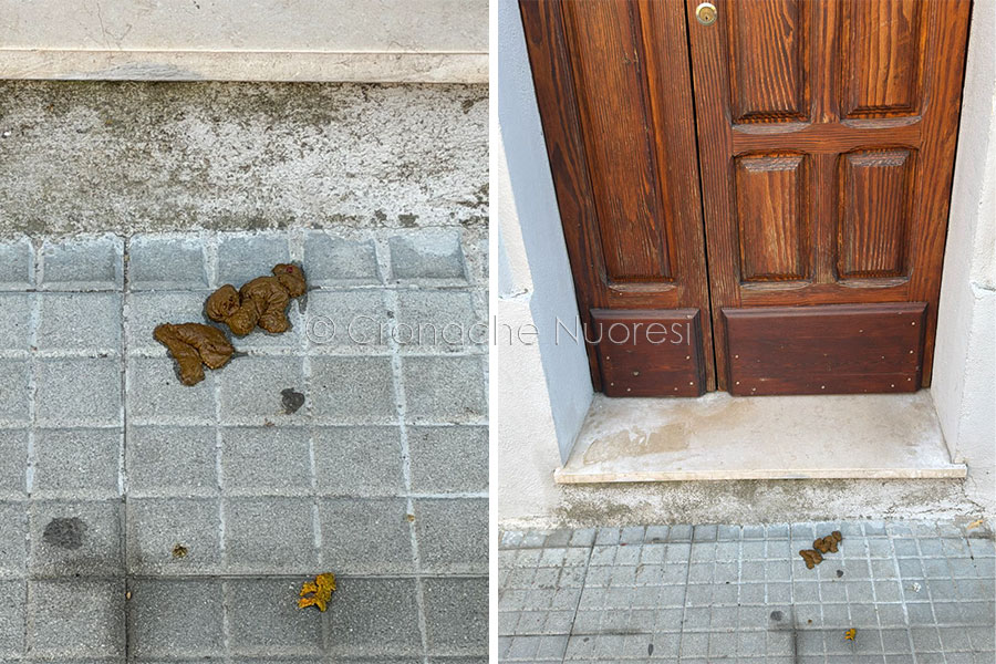 Nuoro, deiezioni canine in via Deffenu