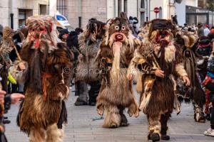 Carnevale-Mamoiada-2025-(foto-SNovellu)-26