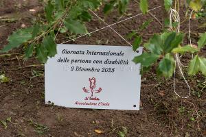 Giornata Internazionale Persone con Disabilita' (foto S.Novellu)
