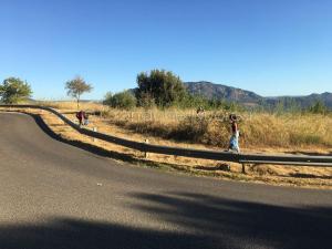 Giornata ecologica a Oliena 2019