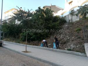 Giornata ecologica a Oliena 2019