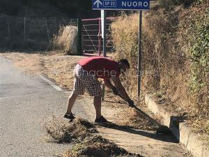 Giornata ecologica a Oliena 2019