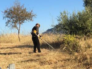 Giornata ecologica a Oliena 2019