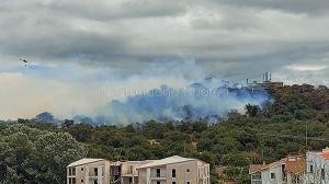 Incendio a Monte Gurtei (foto Cronache Nuoresi)