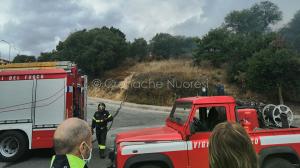 Incendio a Monte Gurtei (foto Cronache Nuoresi)