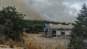 Incendio a Monte Gurtei (foto Cronache Nuoresi)