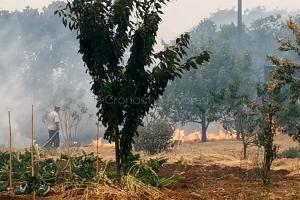 Incendio a Scano Montiferro (foto S.Novellu