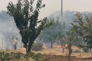 Incendio a Scano Montiferro (foto S.Novellu
