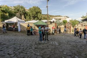 Lollove, Cortes apertas 2019