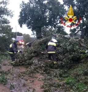 Maltempo, danni in Sardegna