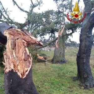Maltempo, danni in Sardegna