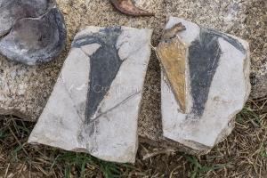 Nuoro, Giornata europea del Patrimonio a Tanca Manna (foto S.Novellu)
