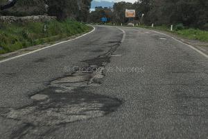 SP 43 - Macomer - Santu Lussurgiu (foto S.Novellu)