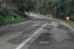 SP 43 - Macomer - Santu Lussurgiu (foto S.Novellu)