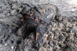 Scano Montiferro, i danni dell'incendio (© foto S.Novellu)